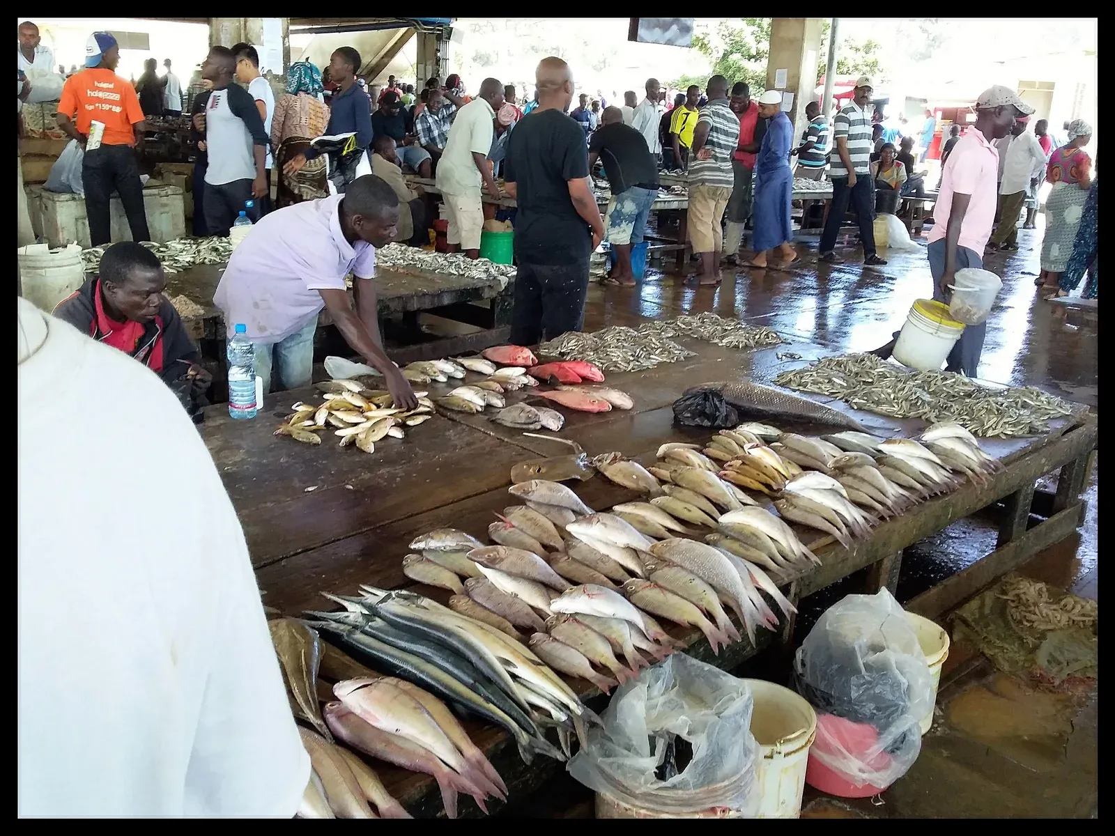 Traders and the morning catch at Kivukoni fish market in Dar es Salaam
